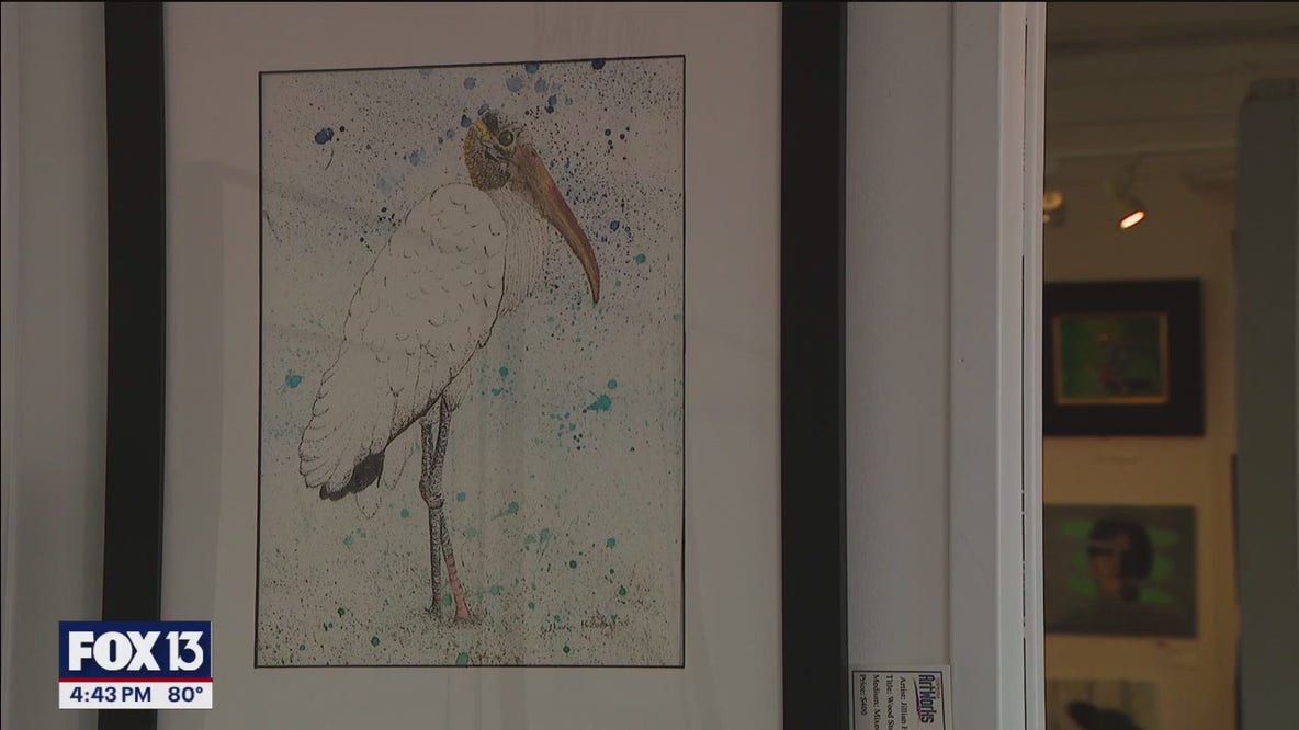 Bay Area artist brings unique bird exhibit to life in St. Pete